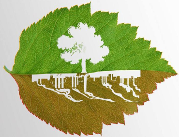 環保設施運營服務及相關技術服務